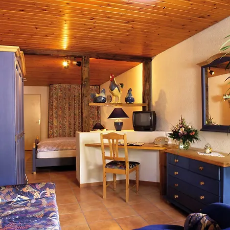 Alpenblick Hotel&restaurant By Interlaken 3*